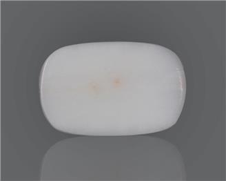 Natural White Coral  9.04 CTS (50209)